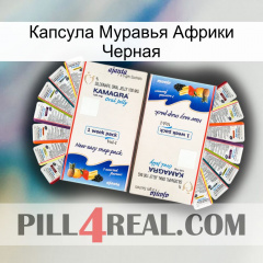 Капсула Муравья Африки Черная kamagra1